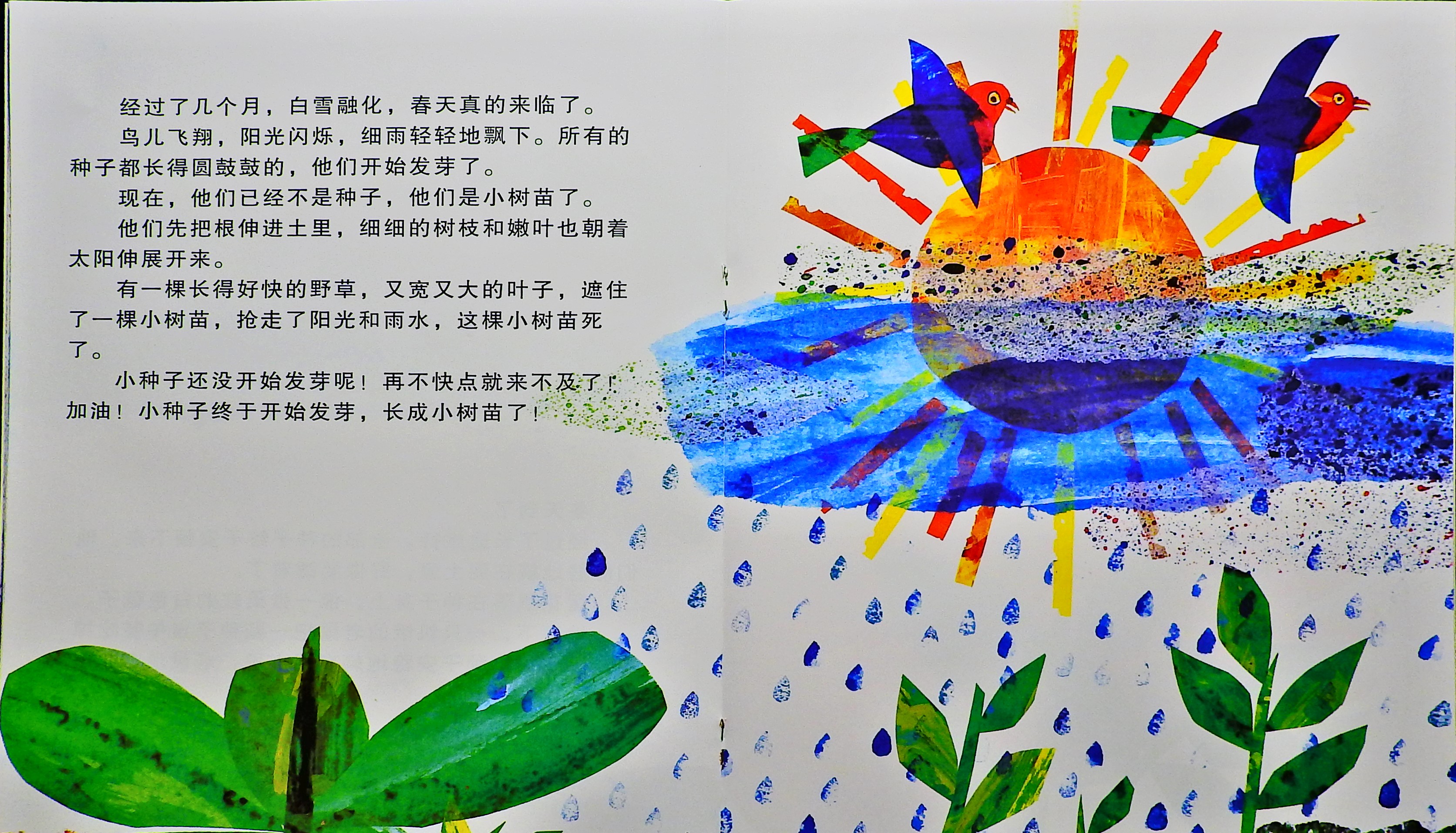 小种子 (10),绘本,绘本故事,绘本阅读,故事书,童书,图画书,课外阅读